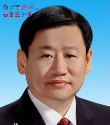 南宁市委书记恶官王小东